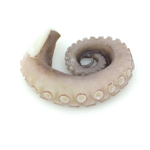 Boiled Octopus (Boirutako) - ボイルタコ