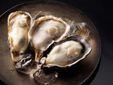 Murotsu Frozen Shell Oysters (Kara Tsuki - Sashimi Grade) - 室津産生食用冷凍殻付きカキ