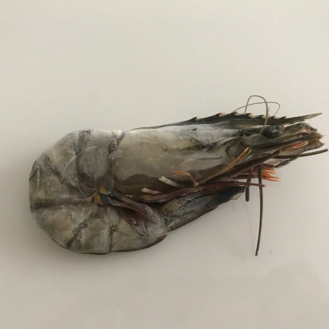 Black Tiger Shrimp