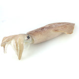 Spear Squid (Yarīka) - ヤリイカ