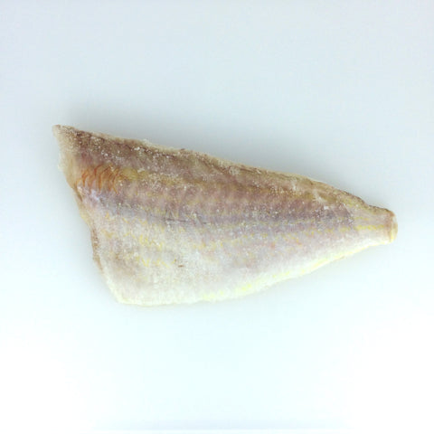 Golden Threadfin Bream (Itoyoridai) - イトヨリダイ - Kerisi