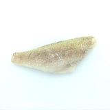 Grouper (Hata) - ハタ - Kerapu