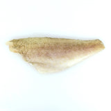 Grouper (Hata) - ハタ - Kerapu