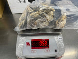 Murotsu Frozen Shell Oysters (Kara Tsuki - Sashimi Grade) - 室津産生食用冷凍殻付きカキ