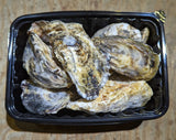 Murotsu Frozen Shell Oysters (Kara Tsuki - Sashimi Grade) - 室津産生食用冷凍殻付きカキ
