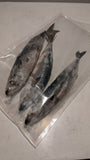 Norwegian Mackerel (Saba) - ノルウェー産サバ(丸)
