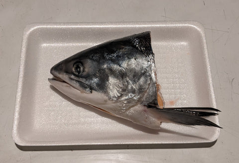 Norwegian Wild Salmon Head - 天然サーモンおかしら　