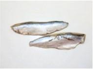 Sardine Fillet (Iwashi Fillet) - イワシフィレ