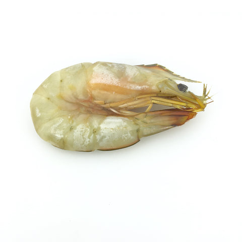 Natural White Shrimp (Ten'nen Ebi Howaito) - 天然エビ ホワイト