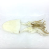 Cuttlefish (Mongoika) - スキンレスモンゴイカ - Sotong