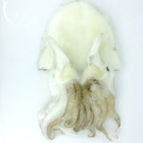 Cuttlefish (Mongoika) - スキンレスモンゴイカ - Sotong