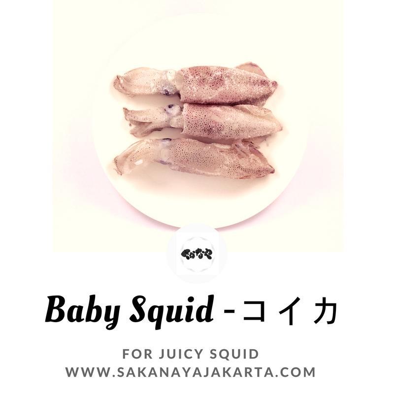Baby Squid